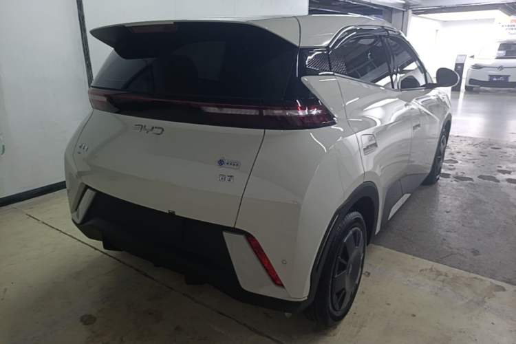 Used BYD Seagull 2025 305km Active Version Rear Right 45 Deg