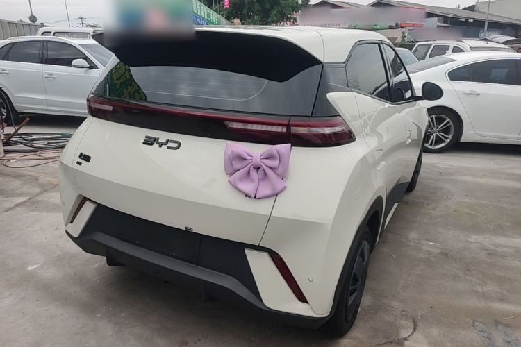 Used BYD Seagull 2025 305km Active Version Rear Right 45 Deg