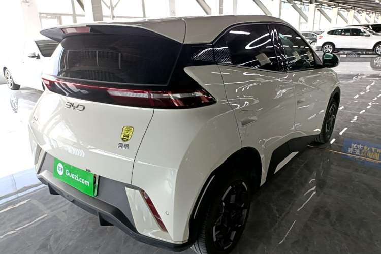 Used BYD Seagull 2025 305 km Free Version Rear Right 45 Deg