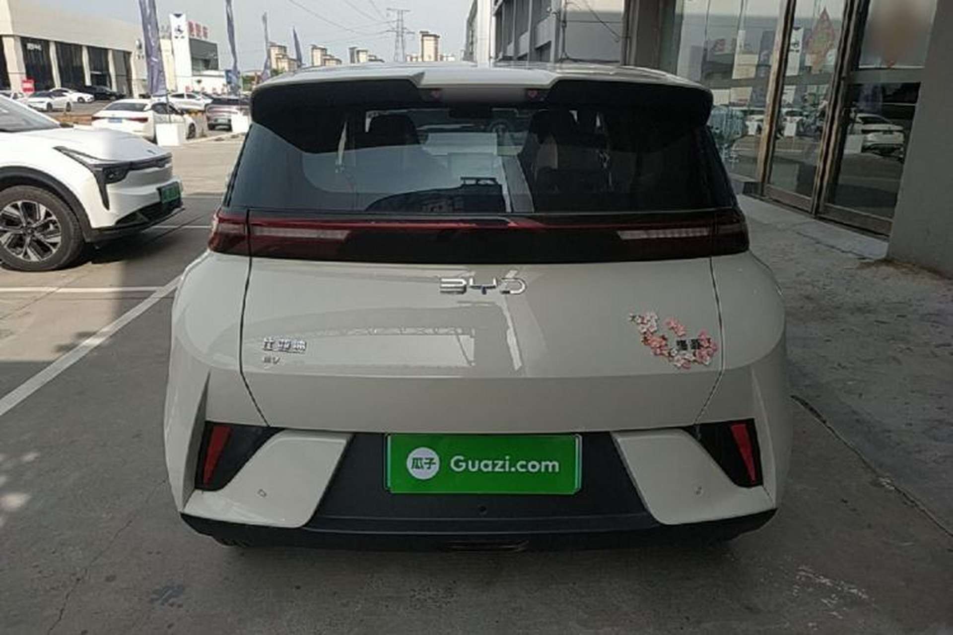 Used BYD Seagull 2025 Intelligent Driving Version 305 km Dynamic Edition Rear