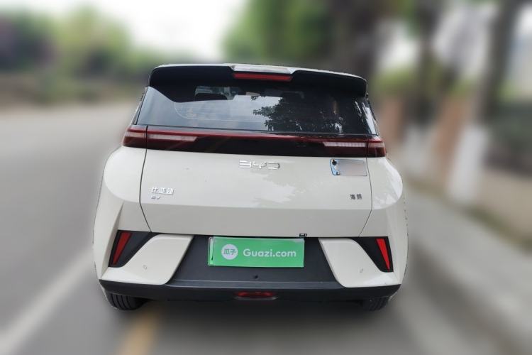 Used BYD Seagull 2025 Model Smart Drive Version 405km Free-Spirited Version Rear