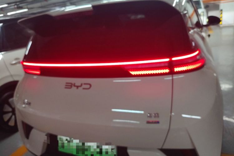 Used BYD Seagull 2025 Smart Drive Version 305 km Freedom Edition Rear
