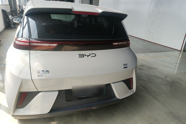 Used BYD Seagull 2025 Smart Drive Version 305 km Freedom Edition Rear