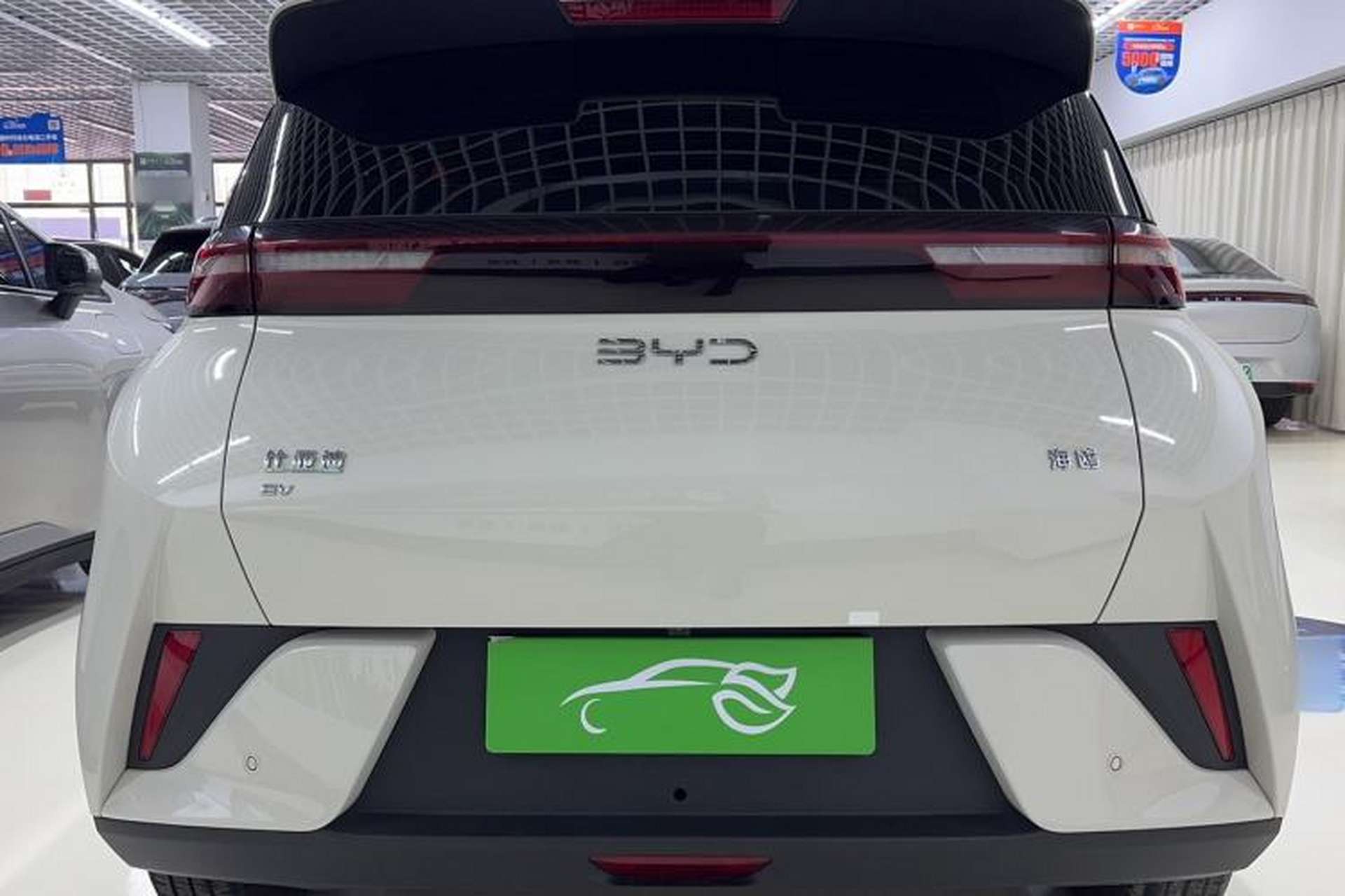 Used BYD Seagull 2025 Intelligent Driving Version 305 km Dynamic Edition Rear