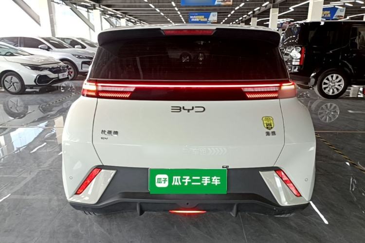 Used BYD Seagull 2025 305 km Free Version Rear