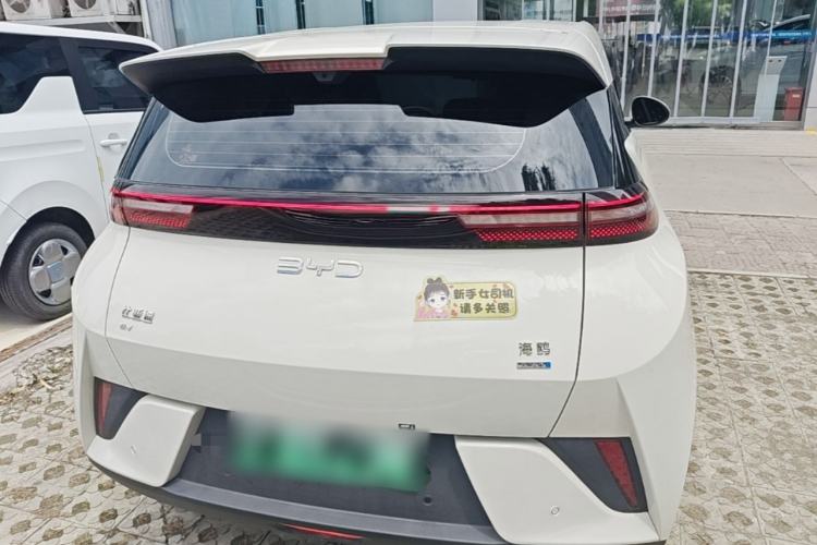 Used BYD Seagull 2025 Smart Drive Version 305 km Freedom Edition Rear