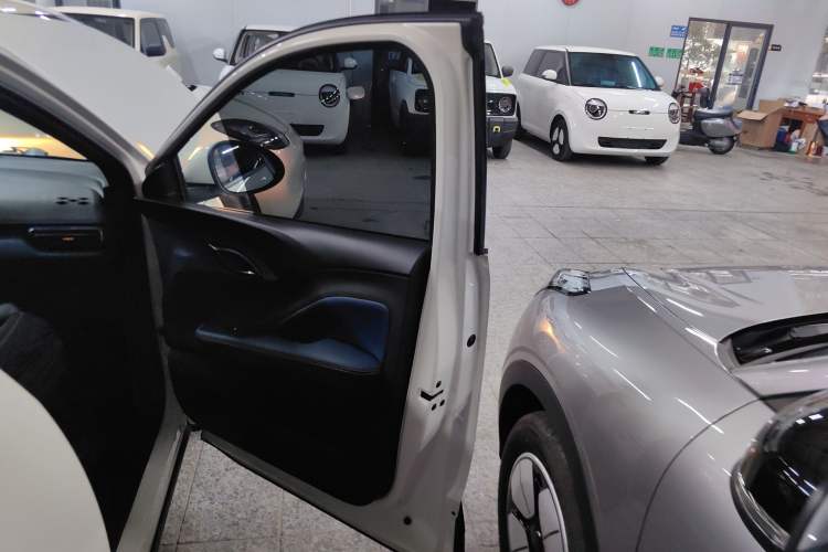 Used BYD Seagull 2025 305 km Free Version Right Front Door Interior