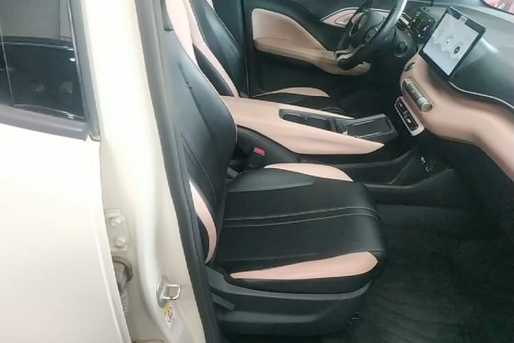 Used BYD Seagull 2025 405 km Flying Edition Right Front Seat