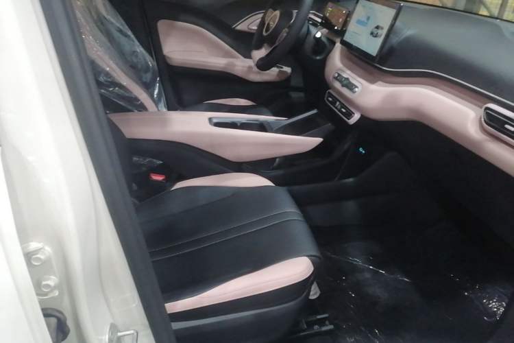 Used BYD Seagull 2025 Intelligent Driving Version 305 km Dynamic Edition Right Front Seat