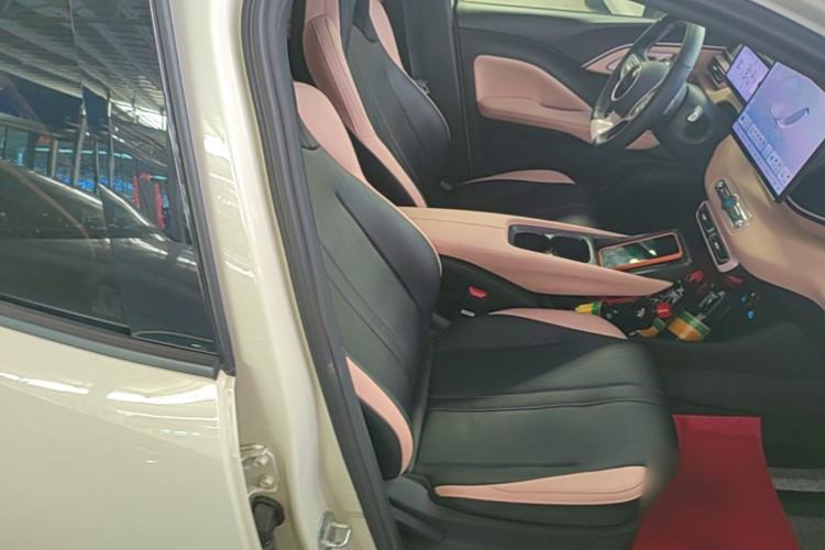 Used BYD Seagull 2025 Smart Drive Version 305 km Freedom Edition Right Front Seat
