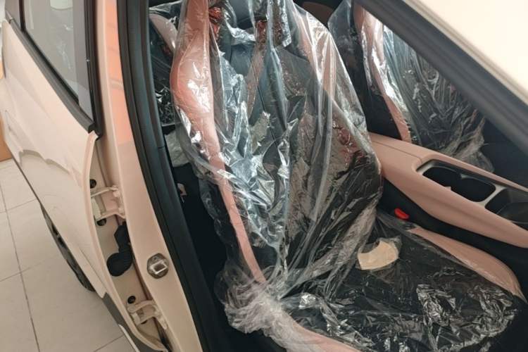Used BYD Seagull 2025 Intelligent Driving Version 305 km Dynamic Edition Right Front Seat