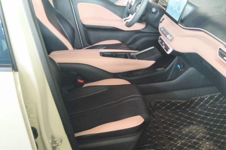 Used BYD Seagull 2025 305km Active Version Right Front Seat