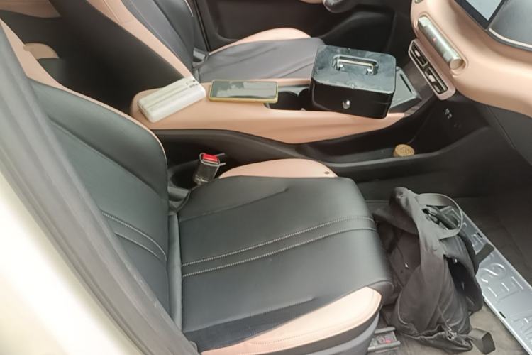 Used BYD Seagull 2025 405 km Flying Edition Right Front Seat
