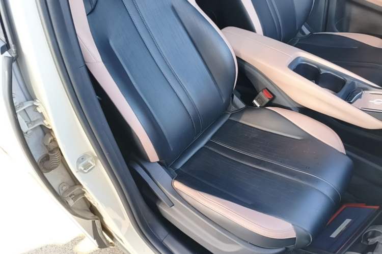 Used BYD Seagull 2025 Smart Drive Version 305 km Freedom Edition Right Front Seat