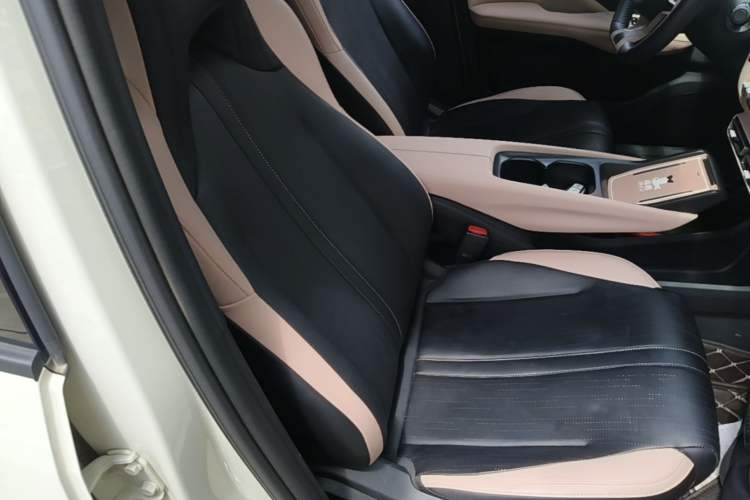 Used BYD Seagull 2025 405 km Flying Edition Right Front Seat