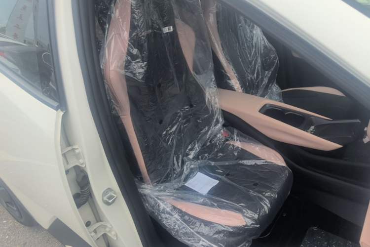 Used BYD Seagull 2025 Intelligent Driving Version 305 km Dynamic Edition Right Front Seat