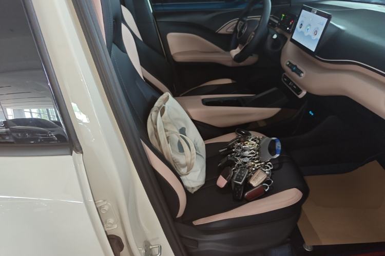 Used BYD Seagull 2025 305km Active Version Right Front Seat