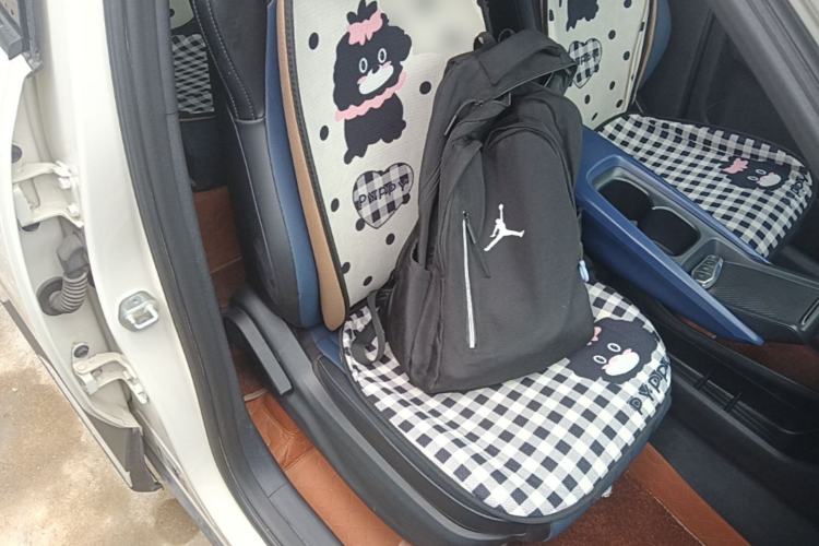 Used BYD Seagull 2025 305km Active Version Right Front Seat