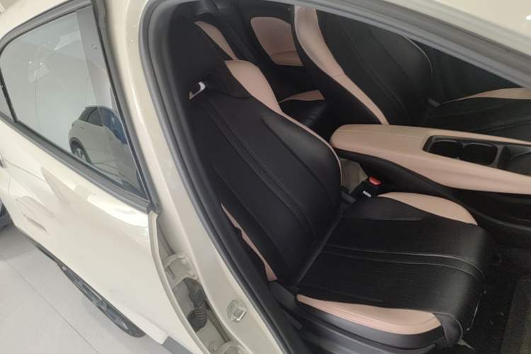 Used BYD Seagull 2025 305 km Free Version Right Front Seat