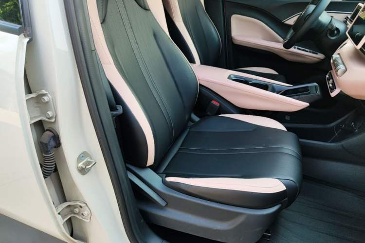 Used BYD Seagull 2025 305 km Free Version Right Front Seat