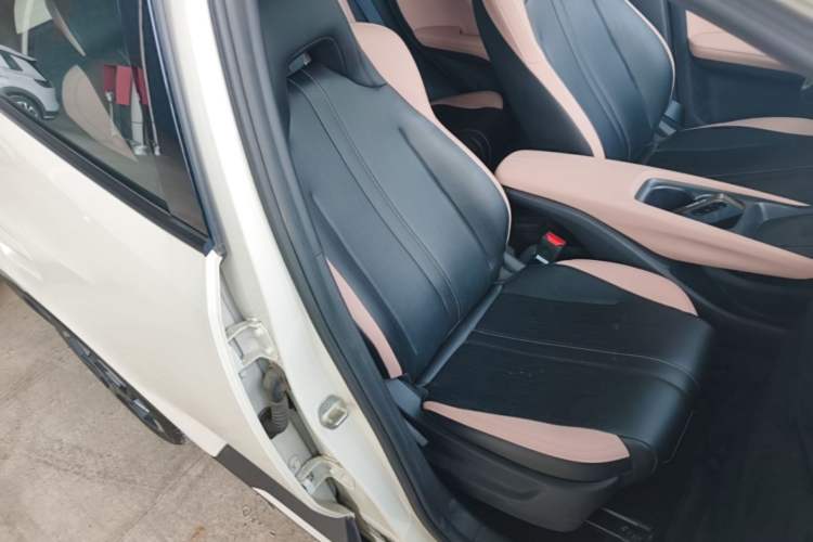 Used BYD Seagull 2025 Smart Drive Version 305 km Freedom Edition Right Front Seat
