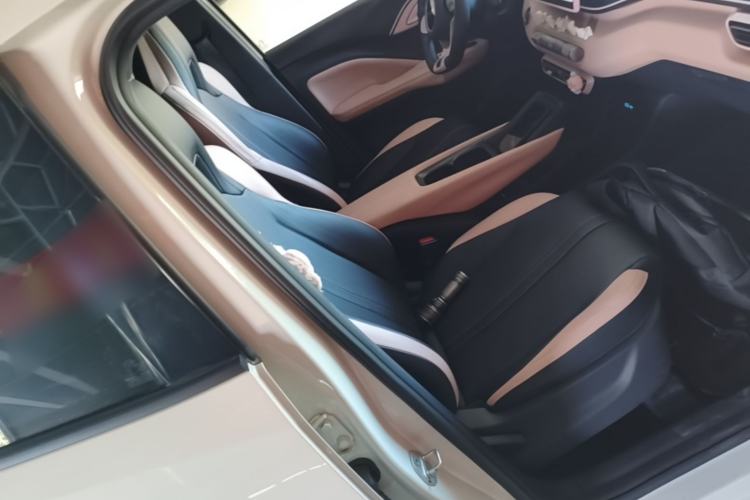Used BYD Seagull 2025 305 km Free Version Right Front Seat