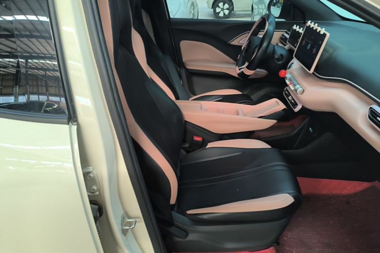 Used BYD Seagull 2025 305km Active Version Right Front Seat