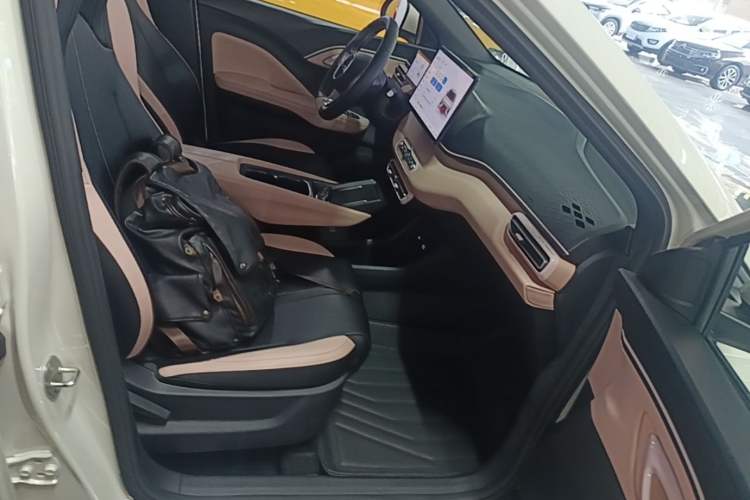 Used BYD Seagull 2025 Smart Drive Version 305 km Freedom Edition Right Front Seat