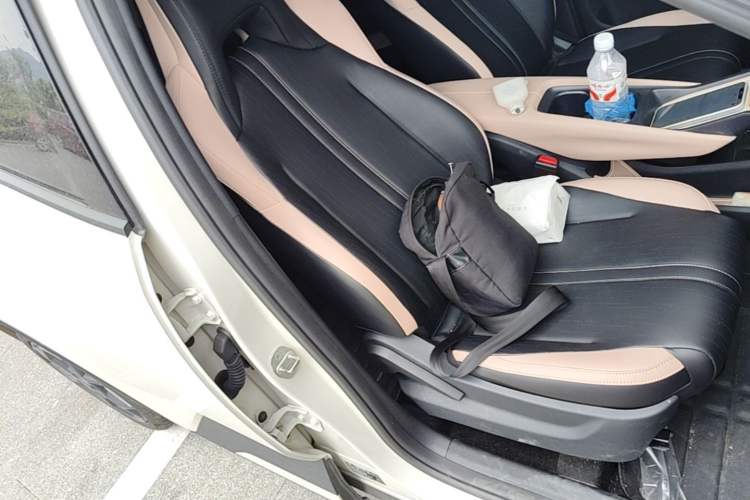 Used BYD Seagull 2025 305 km Free Version Right Front Seat