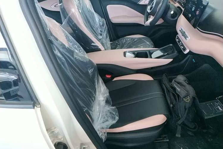 Used BYD Seagull 2025 Intelligent Driving Version 305 km Dynamic Edition Right Front Seat