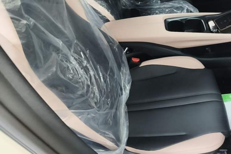 Used BYD Seagull 2025 Intelligent Driving Version 305 km Dynamic Edition Right Front Seat