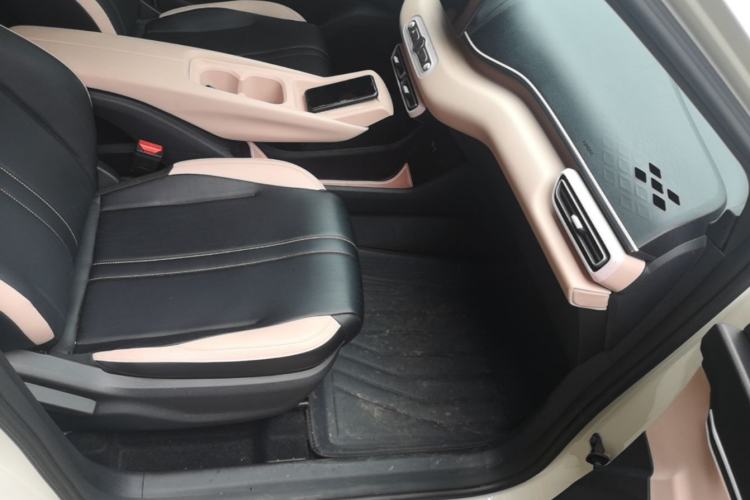 Used BYD Seagull 2025 305km Active Version Right Front Seat