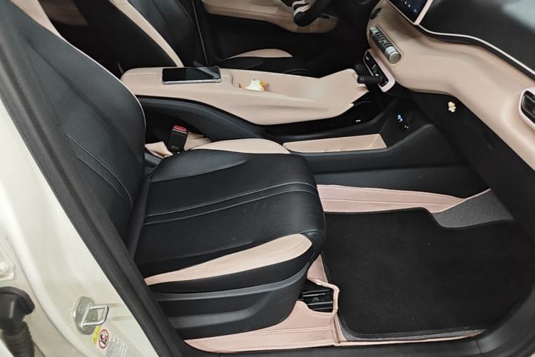 Used BYD Seagull 2025 405 km Flying Edition Right Front Seat
