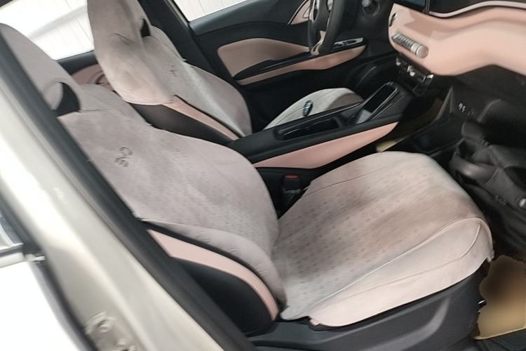 Used BYD Seagull 2025 305 km Free Version Right Front Seat