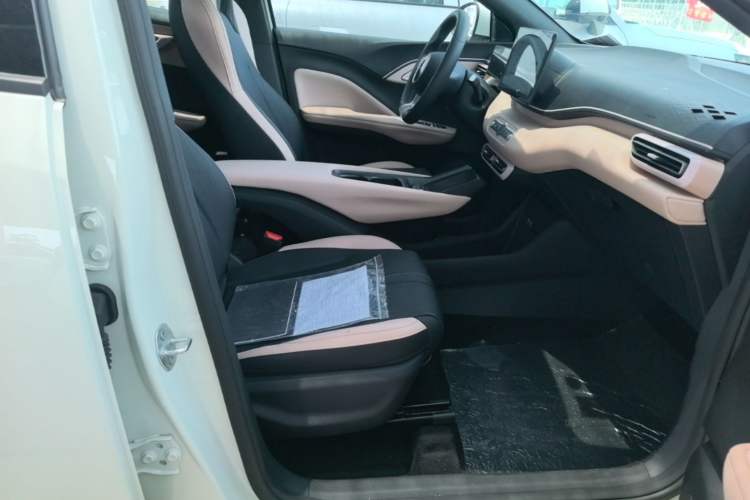 Used BYD Seagull 2025 305 km Free Version Right Front Seat