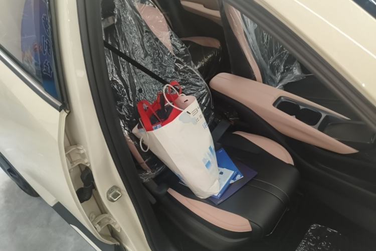 Used BYD Seagull 2025 Intelligent Driving Version 305 km Dynamic Edition Right Front Seat