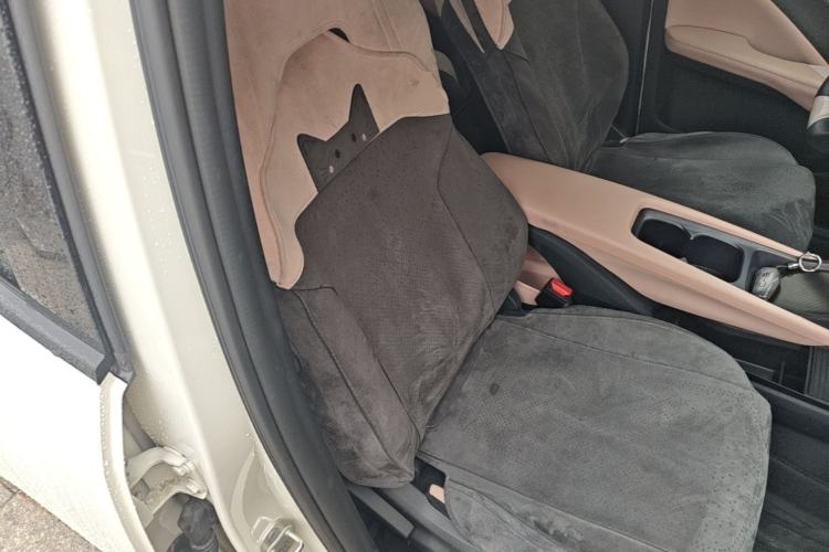 Used BYD Seagull 2025 Intelligent Driving Version 305 km Dynamic Edition Right Front Seat