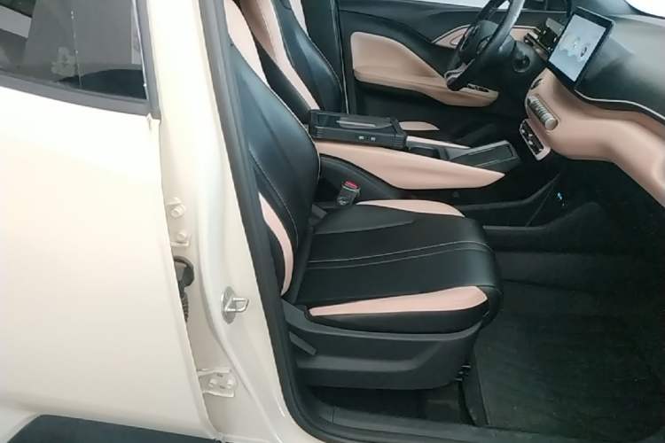 Used BYD Seagull 2025 305 km Free Version Right Front Seat