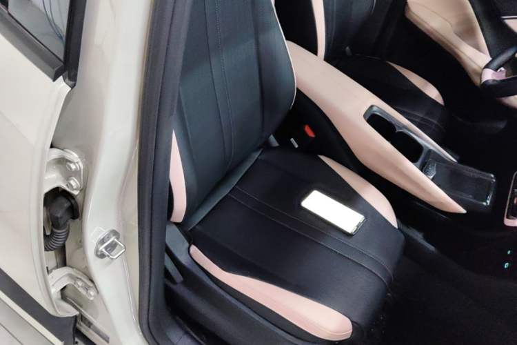 Used BYD Seagull 2025 Smart Drive Version 305 km Freedom Edition Right Front Seat