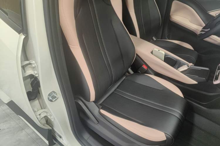 Used BYD Seagull 2025 305 km Free Version Right Front Seat