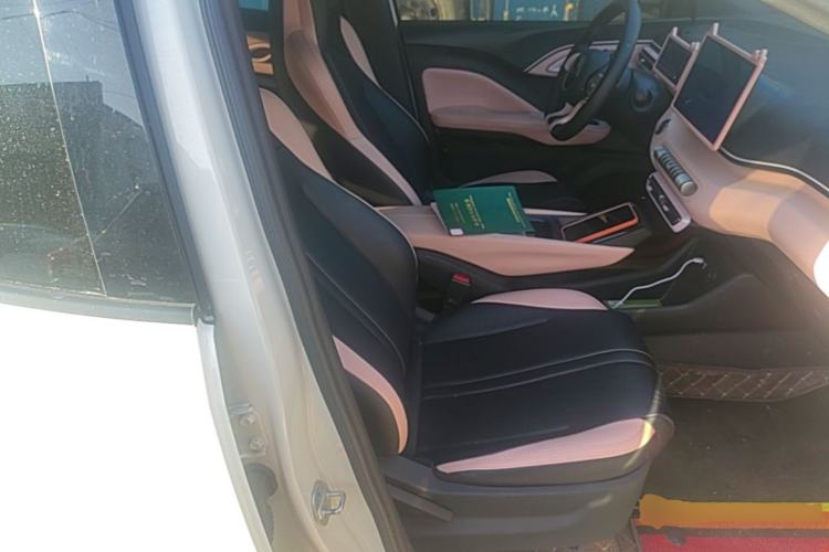Used BYD Seagull 2025 305 km Free Version Right Front Seat