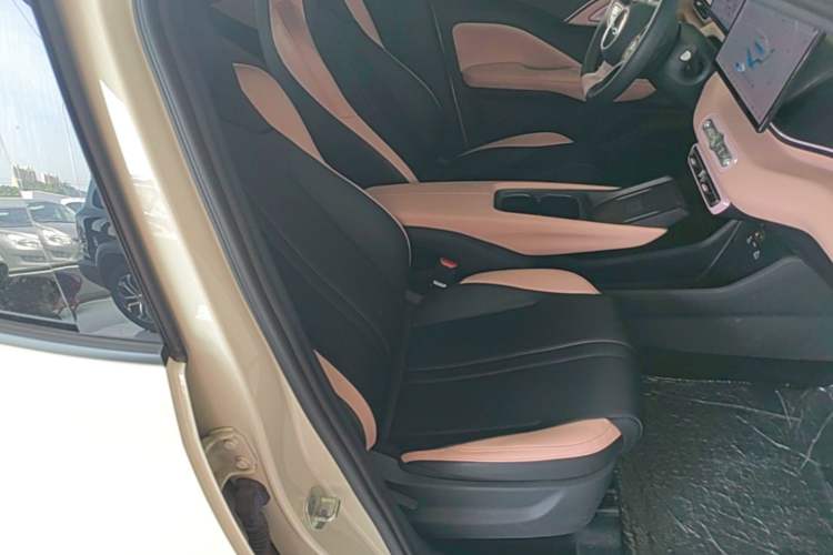 Used BYD Seagull 2025 Smart Drive Version 305 km Freedom Edition Right Front Seat