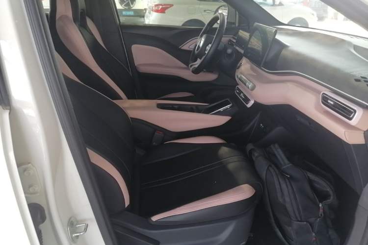Used BYD Seagull 2025 305 km Free Version Right Front Seat
