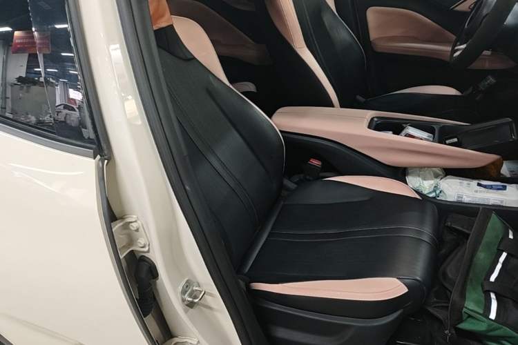 Used BYD Seagull 2025 305 km Free Version Right Front Seat