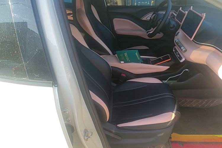 Used BYD Seagull 2025 305 km Free Version Right Front Seat