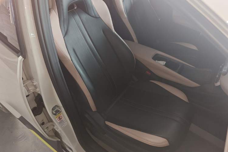 Used BYD Seagull 2025 405 km Flying Edition Right Front Seat