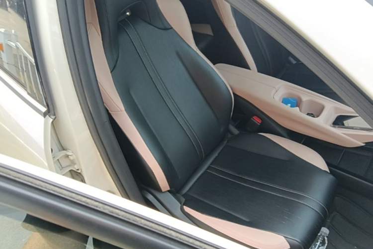 Used BYD Seagull 2025 405 km Flying Edition Right Front Seat