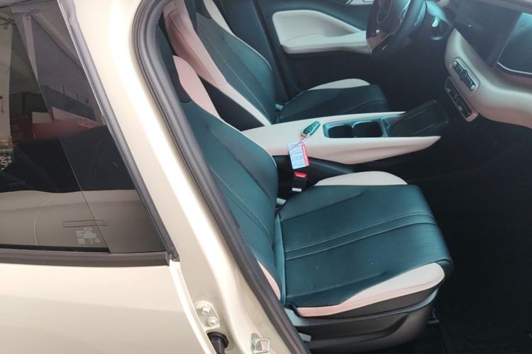 Used BYD Seagull 2025 Smart Drive Version 305 km Freedom Edition Right Front Seat