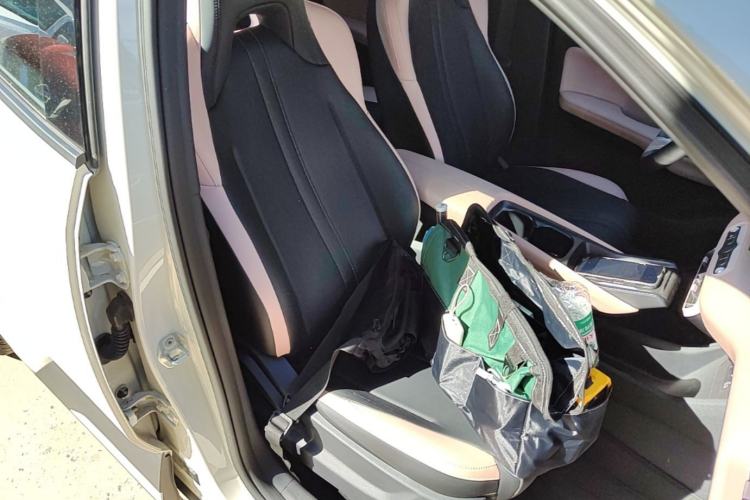 Used BYD Seagull 2025 Smart Drive Version 305 km Freedom Edition Right Front Seat