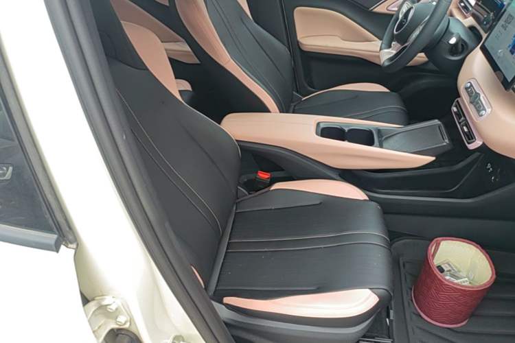 Used BYD Seagull 2025 Intelligent Driving Version 305 km Dynamic Edition Right Front Seat